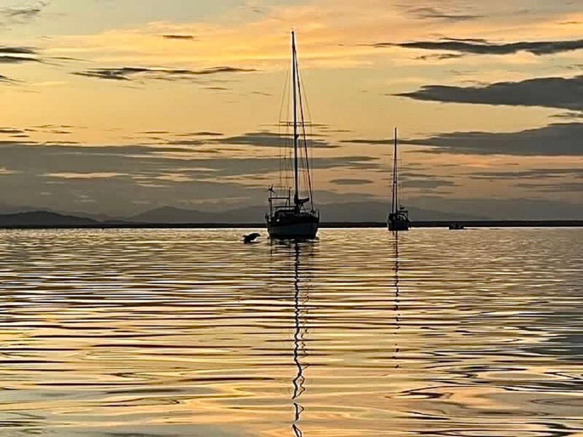 Villa Amaya Bocas Town Dış mekan fotoğraf