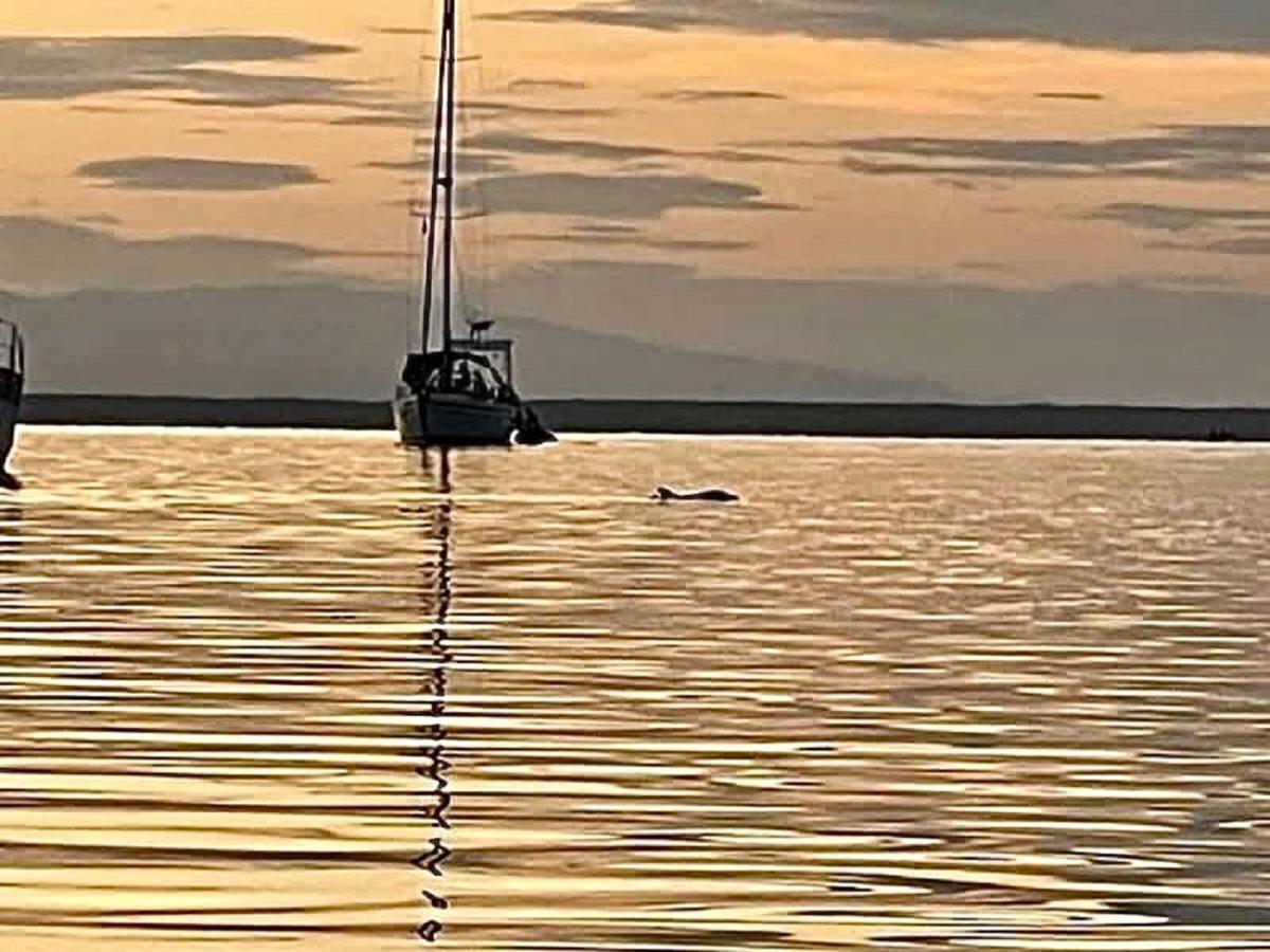 Villa Amaya Bocas Town Dış mekan fotoğraf